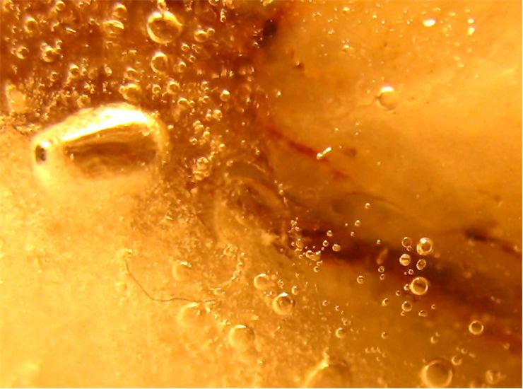 Picture Of Bubbles In Soft Drink