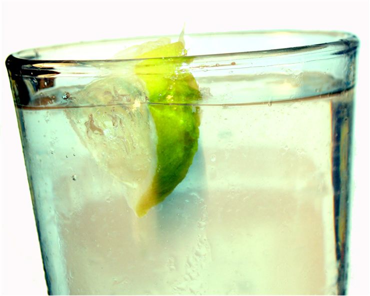 Picture Of Carbonated Water With Lime
